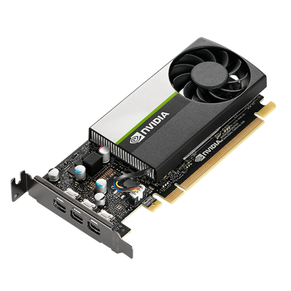 Graphics Card (GPU)